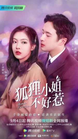 狐狸小姐不好惹海报