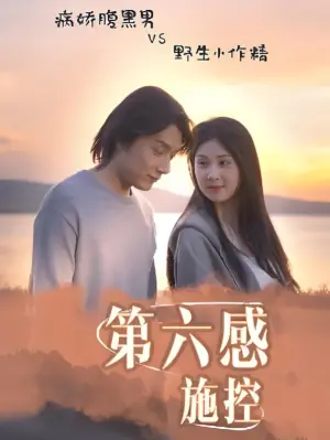 第六感施控海报