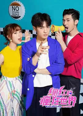 网红的疯狂世界海报