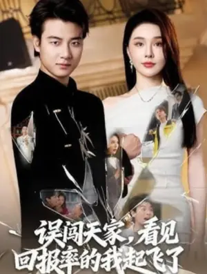 误闯天家看见回报率的我起飞了海报