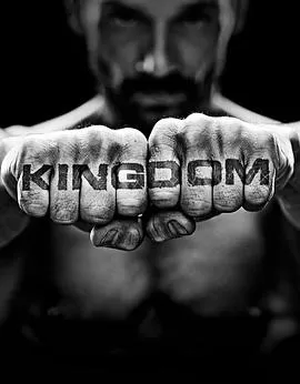 搏击王国第二季海报