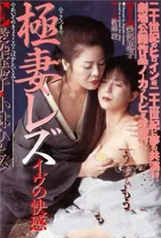 极妻快感海报