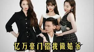 亿万豪门招我做姑爷海报
