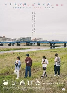 猫猫逃走了海报