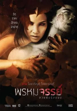 老虎的女人海报