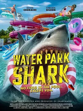 WaterParkShark海报