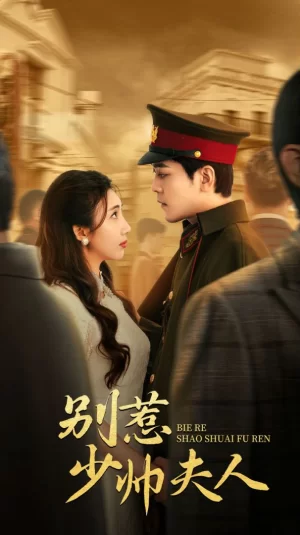 别惹少帅夫人海报