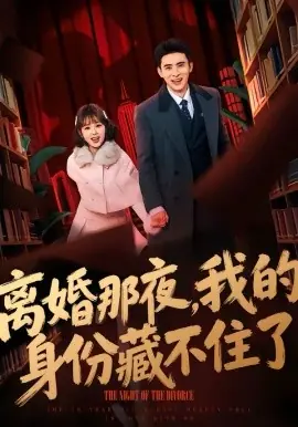 离婚那夜,我的身份藏不住了海报