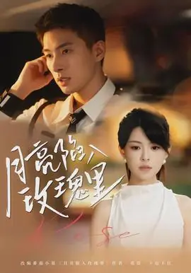 月亮陷入玫瑰里海报