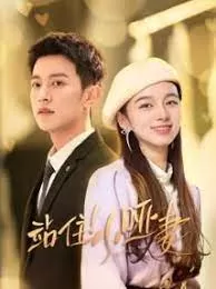 站住!小哑妻海报