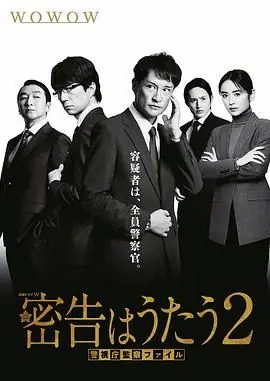 密告之歌2海报