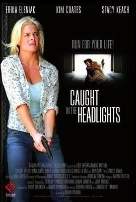 夺命枪火2014海报