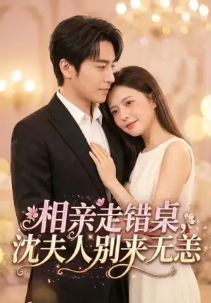 相亲走错桌,沈夫人别来无恙海报
