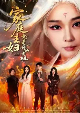 家庭主妇竟是修仙老祖海报