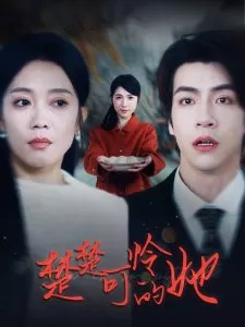 楚楚可怜的她海报