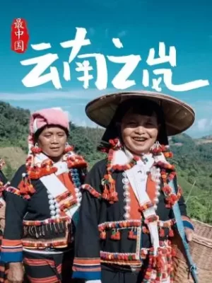 最中国云南之岚海报