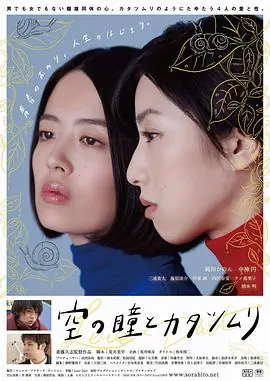 空中的飞鸟海报