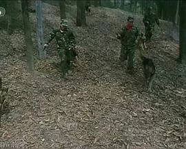 拉尔复仇记海报