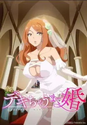 做到怀孕为止的婚姻海报