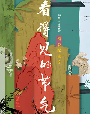 看得见的节气海报