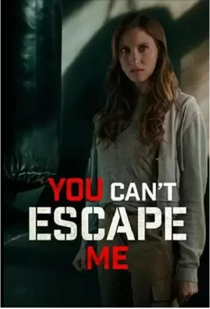 你无法逃脱我海报