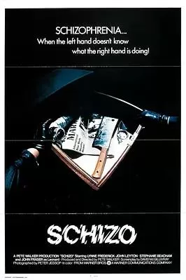 精神分裂症海报