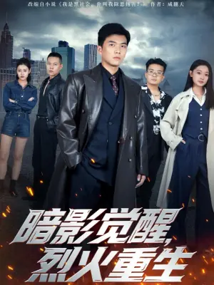 暗影觉醒,烈火重生海报