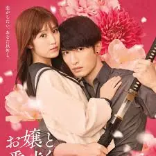 大小姐与看门犬海报