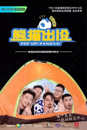 熊猫出没请注意海报