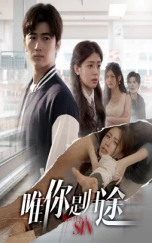 唯你是归途海报