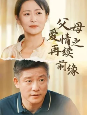 父母爱情之再续前缘海报