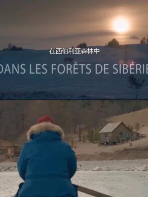 西伯利亚之森[影视解说]海报