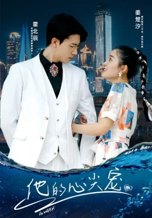 他的心尖宠海报