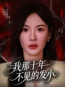 我那十年不见的发小海报