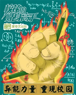 校花的贴身高手第一季海报