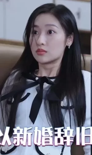 我以新婚辞旧情海报