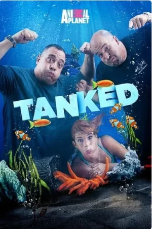 百变水族箱第五季海报