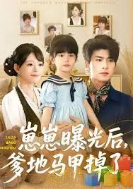崽崽曝光后,爹地马甲掉了海报