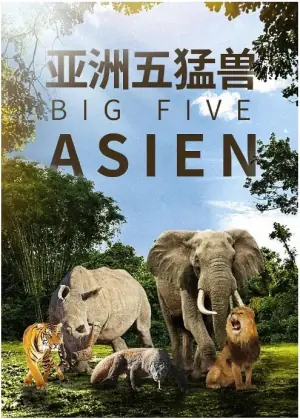 亚洲五猛兽海报