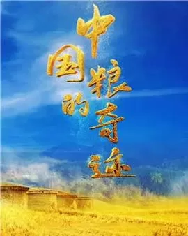 中国粮的奇迹海报