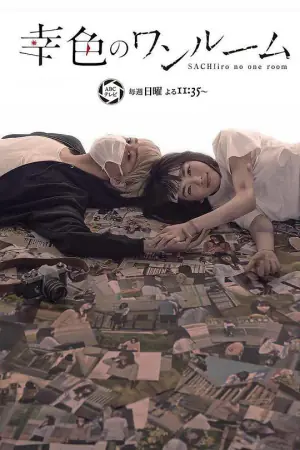 幸色的一居室海报