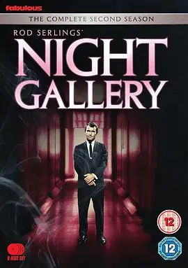 夜间画廊第二季海报