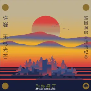 为你盛开-许巍<无尽光芒>巡回演唱会现场纪念海报