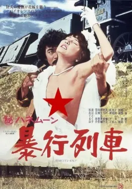 蜜月暴行列车海报