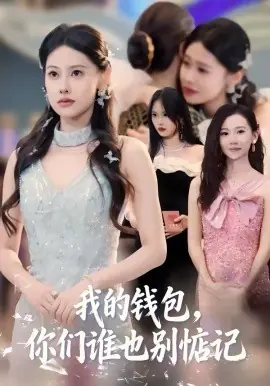 我的钱包,你们谁也别惦记海报