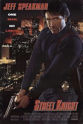 街头武士(国语)海报