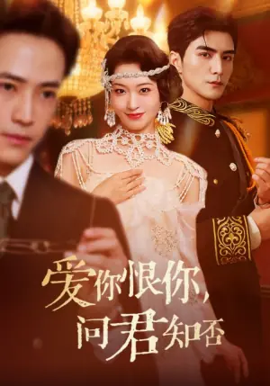 爱你恨你,问君知否海报