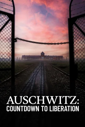 奥斯维辛:解放倒计时海报
