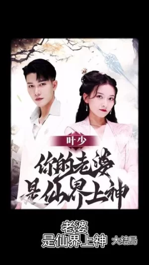 叶少,你的老婆是仙界上神海报