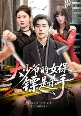 大少爷的女保镖是杀手海报